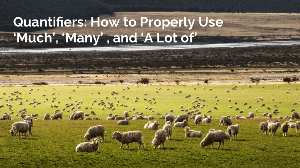 How to Use Many, Much, A lot of, and Lots of